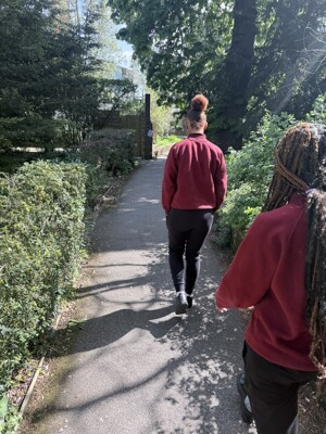 Img 0943