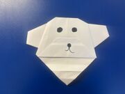 Origami 3