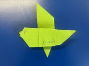 Origami 4