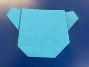 Origami 9